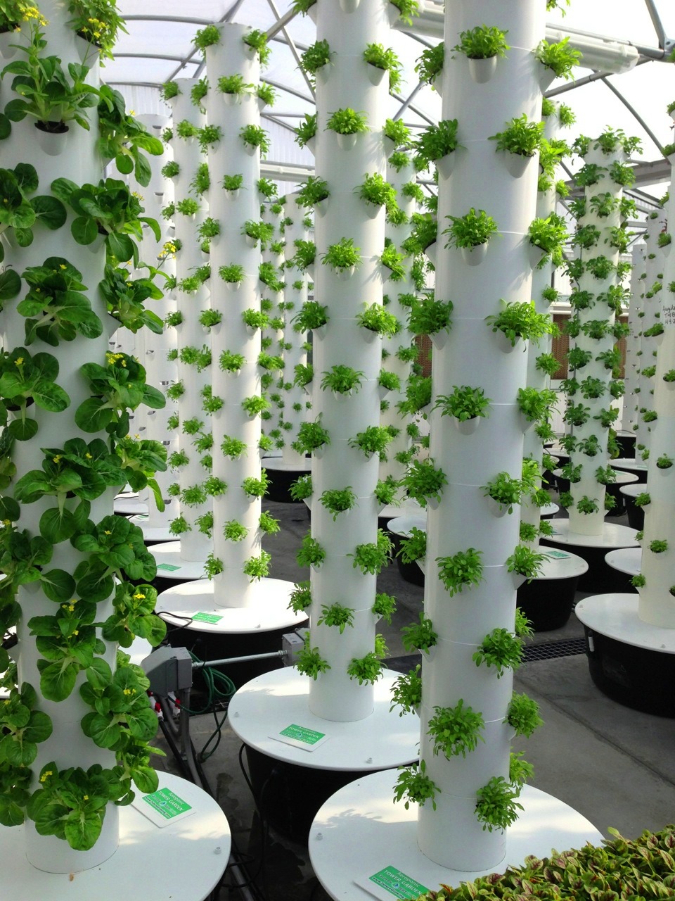 Local Tower Garden Farmer Produces Aeroponic Food for ...